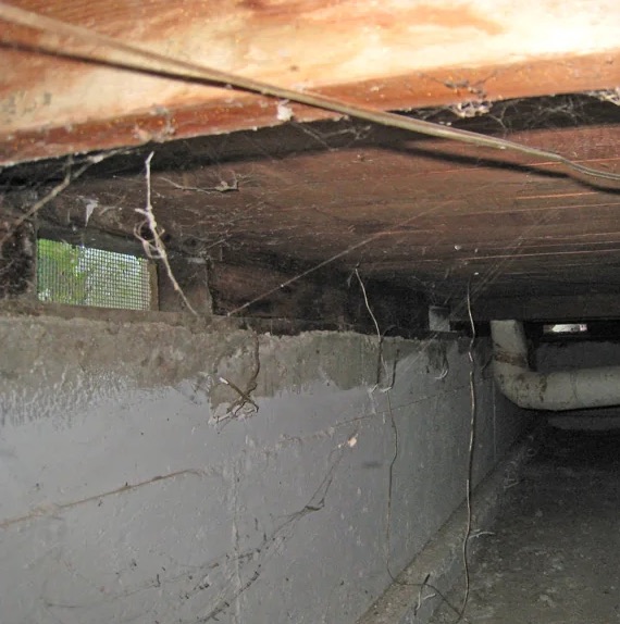 Crawl Space Water Extraction in Winthrop, MA